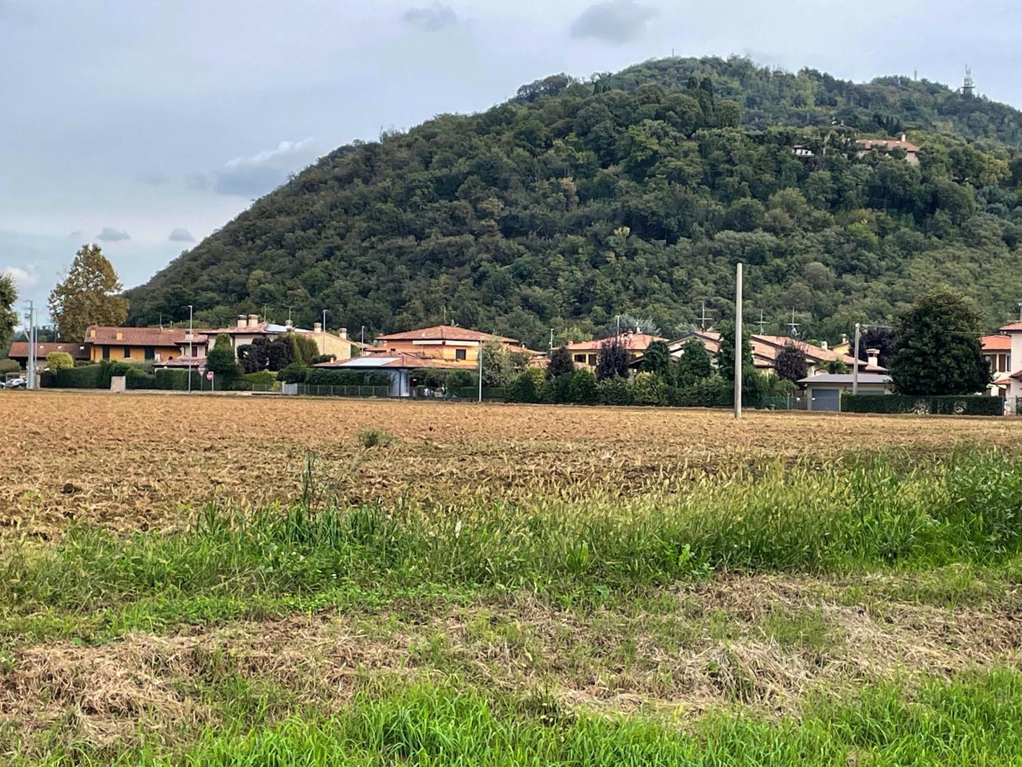 דירות Casa Montorfano ארבוסקו מראה חיצוני תמונה
